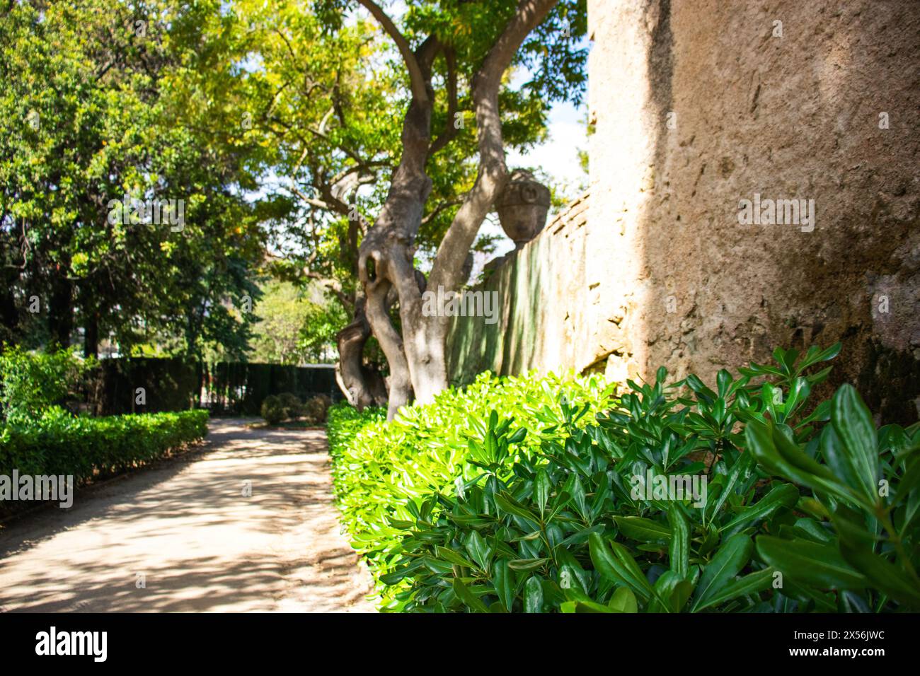 Neoklassizistischer historischer Garten Parc del Laberint d'Horta, Barcelona, Spanien, Nachhaltigkeit, Umweltschutz, Schutz der Artenvielfalt Stockfoto