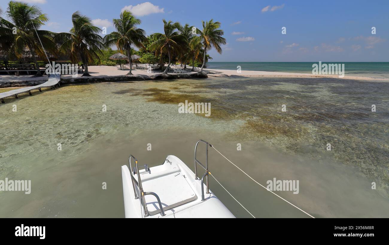 255 die Palmen und der weiße Sandstrand am Cayo Iguana oder Macho de Afuera Key, von einem Katamaran aus gesehen, der am nahe gelegenen Ankerplatz verankert ist. Trinidad-Kuba. Stockfoto