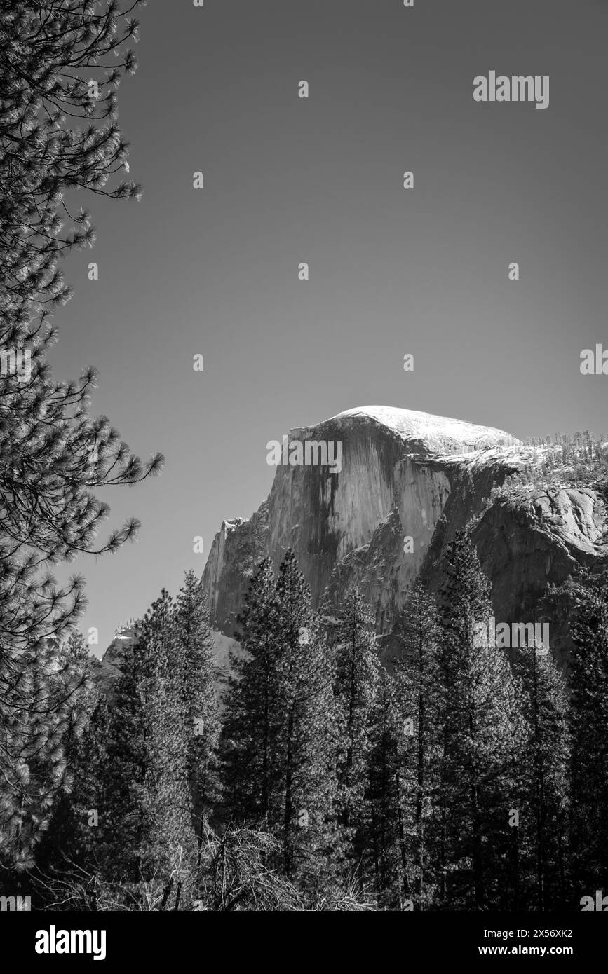 Blick auf Half Dome durch die Bäume, Yosemite Valley, Yosemite National Park, Kalifornien, USA. Stockfoto