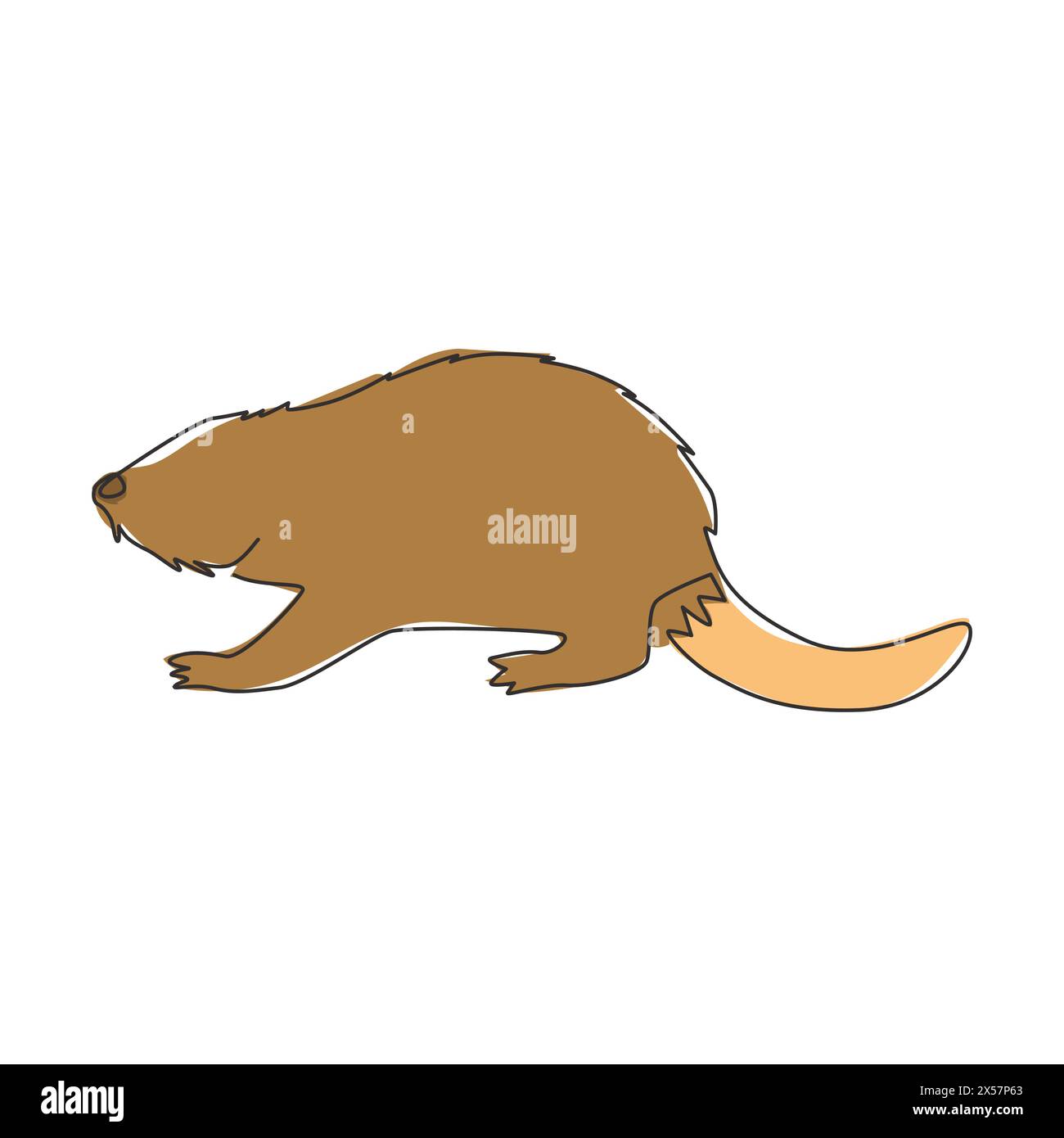 Eine durchgehende Linienzeichnung mit niedlichem Biber für Logo-Identität. Lustiges, entzückendes Maskottchen für Säugetiere als Nationalparksymbol. Trendige einzeilige d Stock Vektor