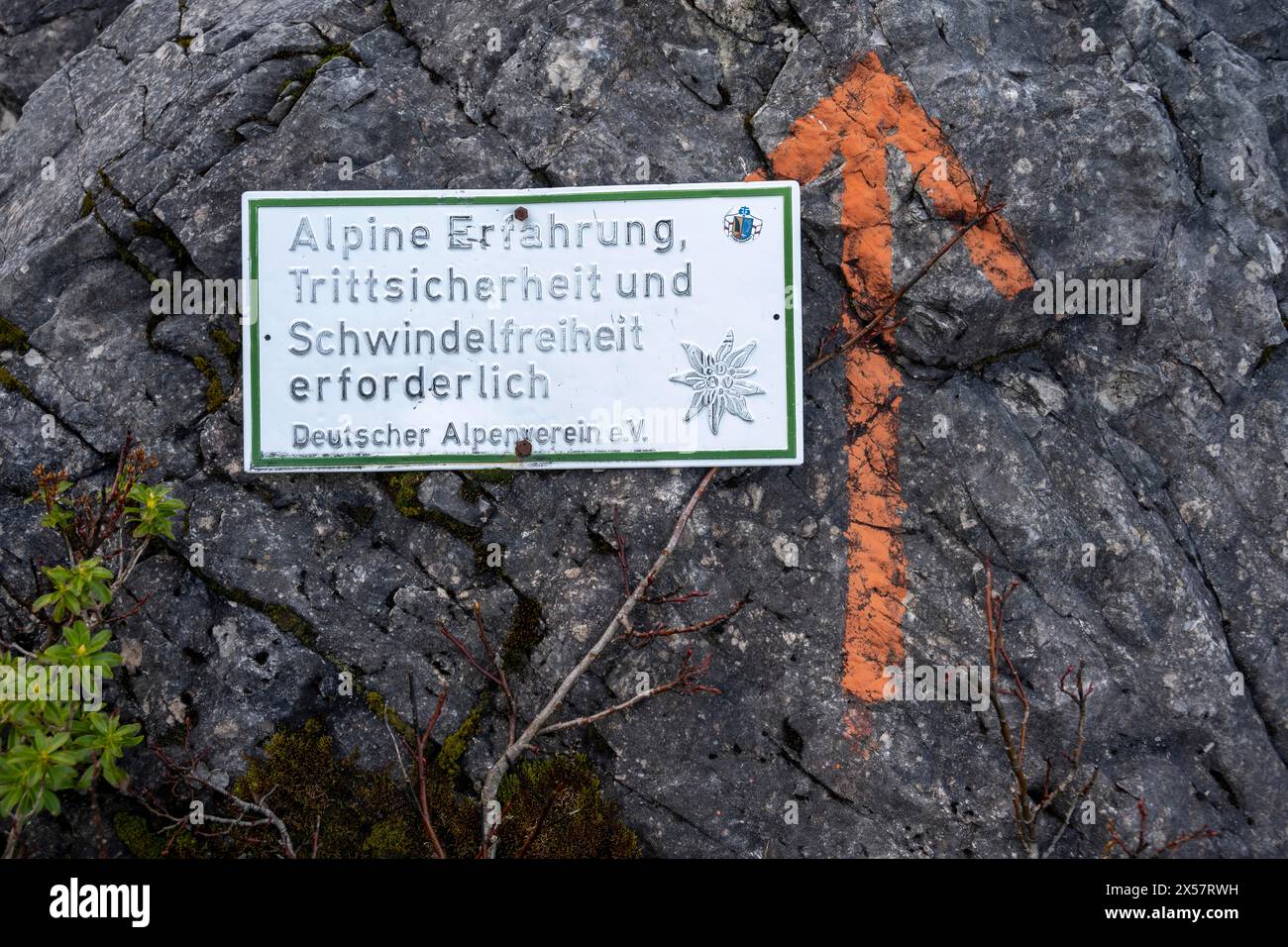 Warnschild auf einem Felsen auf einem Wanderweg, alpines Erlebnis und Höhenflug erforderlich, Wanderweg zum bayerischen Schinder, bayerische Voralpen Stockfoto