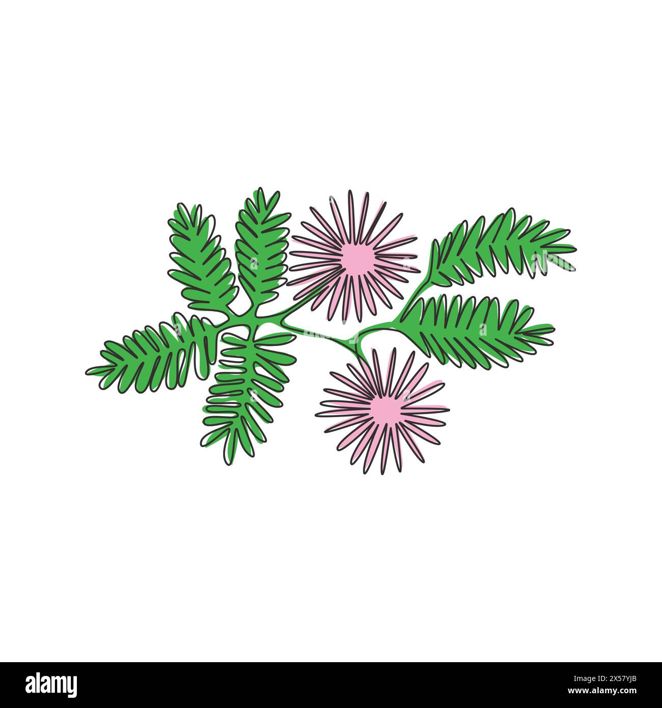 Eine durchgehende Linie mit schönen, frischen Dormilonen für Wohnwand-Dekor-Poster. Dekoratives verschlafenes Pflanzenblumenkonzept für Einladungskarte. Stock Vektor