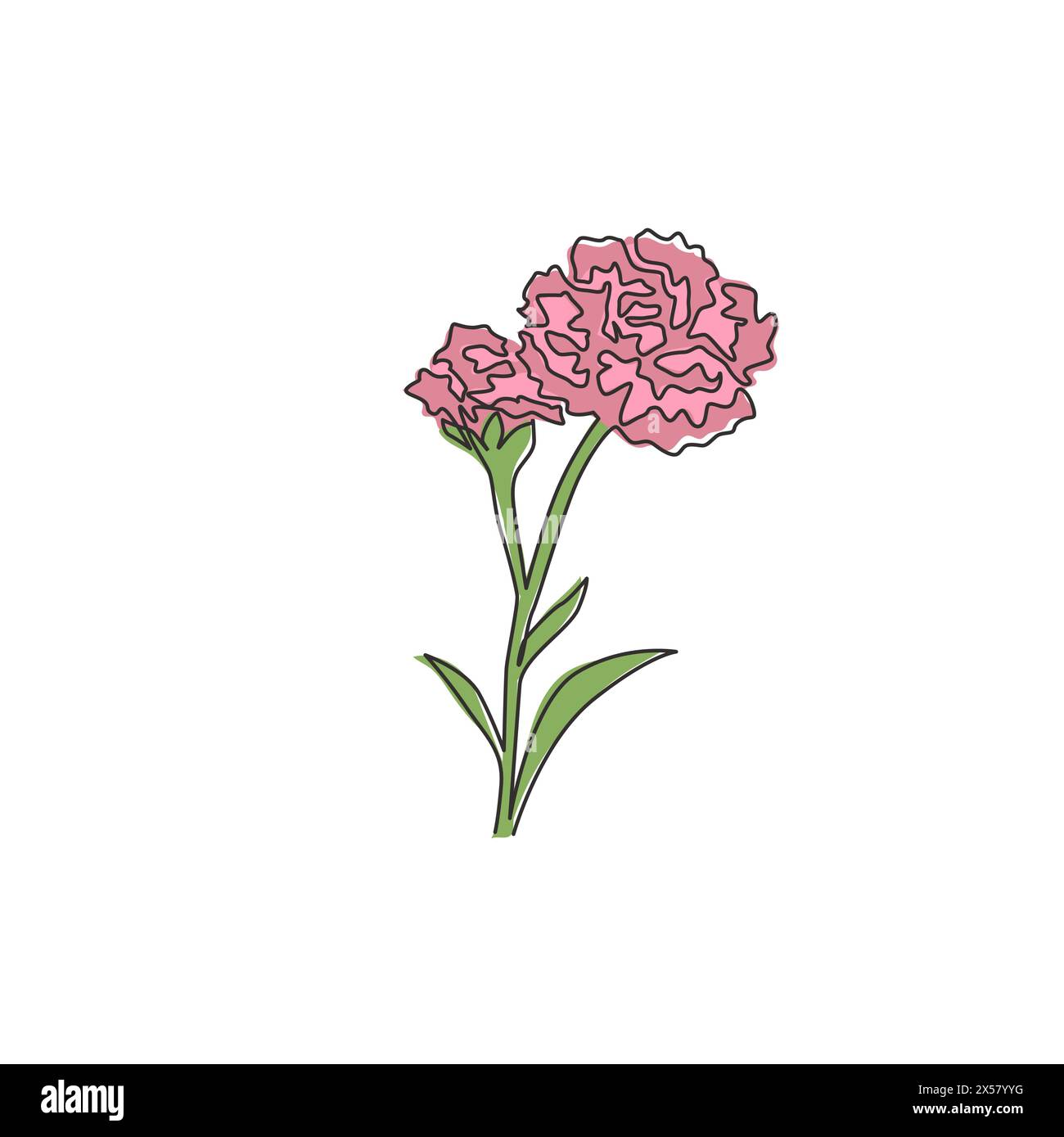 Einzelne durchgehende Linienzeichnung mit Beauty Fresh Nelke für Garten-Logo. Dekorative dianthus caryophyllus Blume für Wohnwand Dekor Posterdruck Stock Vektor