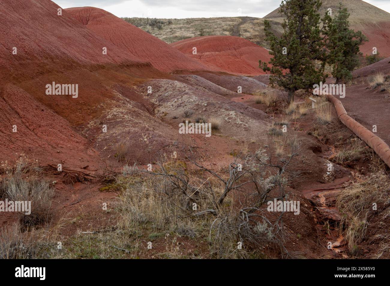 Der Painted Cove Trail im John Day Fossil Beds National Monument Stockfoto