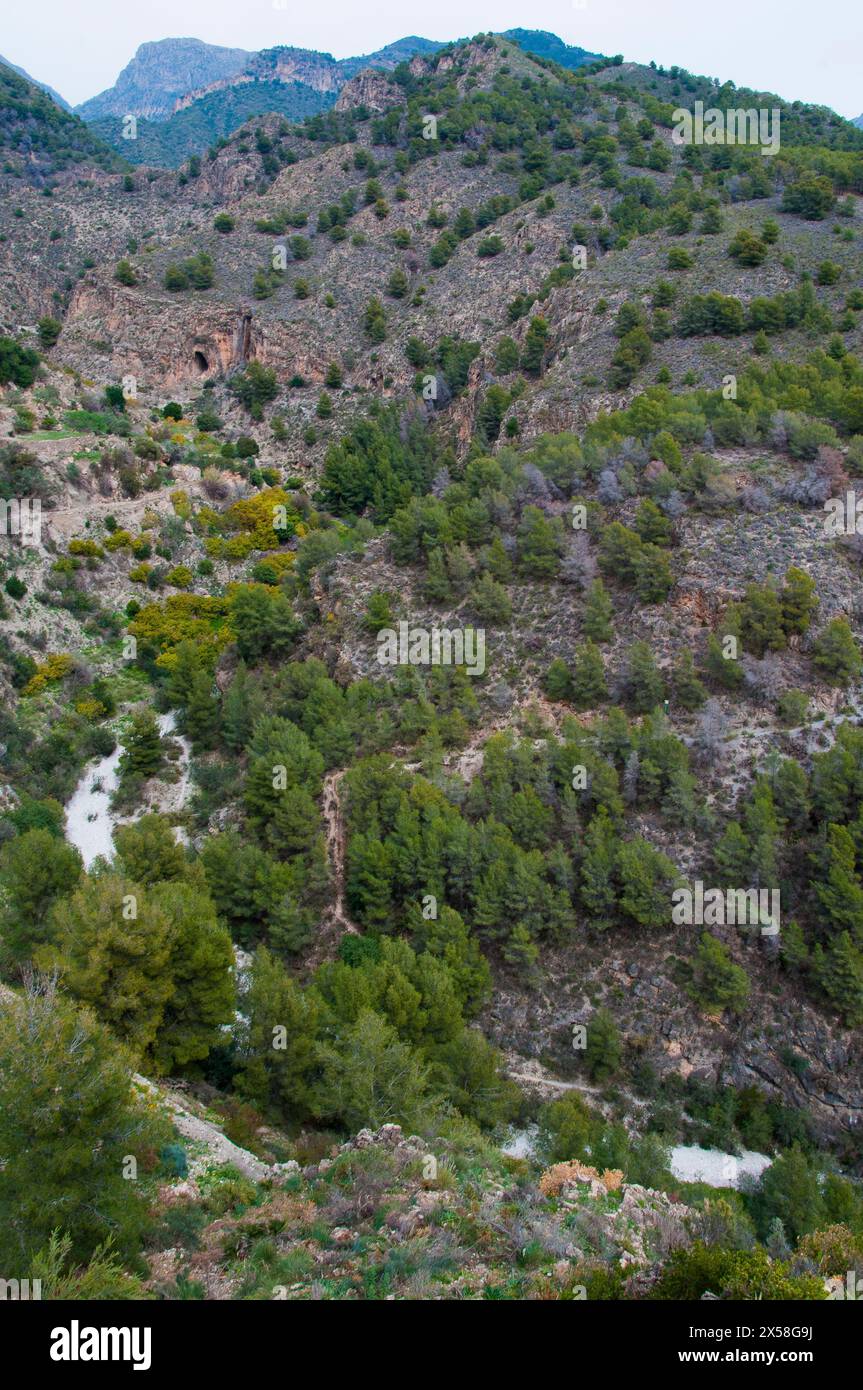 Schlucht Rio Higueron unterhalb des „Weißen Dorfes“ von Frigiliana, Andalusien, Spanien. Stockfoto