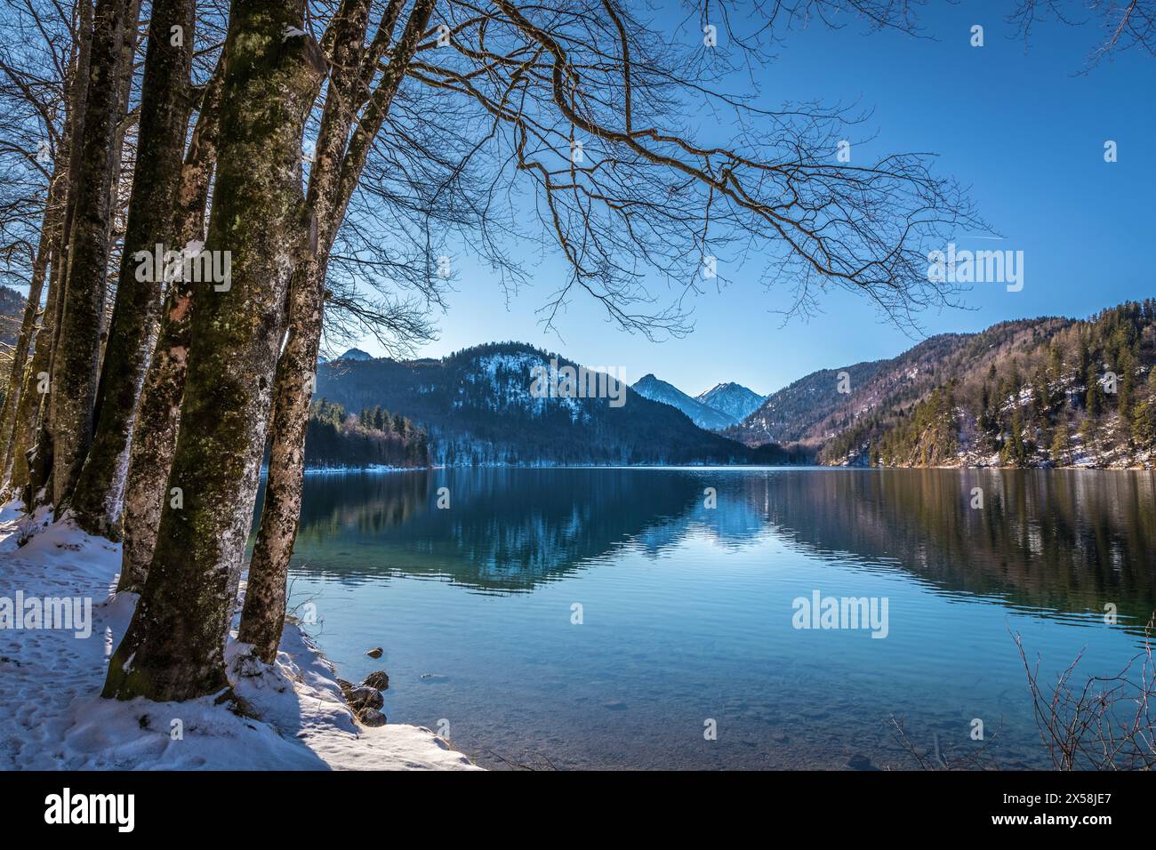 Geographie / Reise, Deutschland, Bayern, Schwangau, Alpsee bei Hohenschwangau, Schwangau, ADDITIONAL-RIGHTS-CLEARANCE-INFO-NOT-AVAILABLE Stockfoto