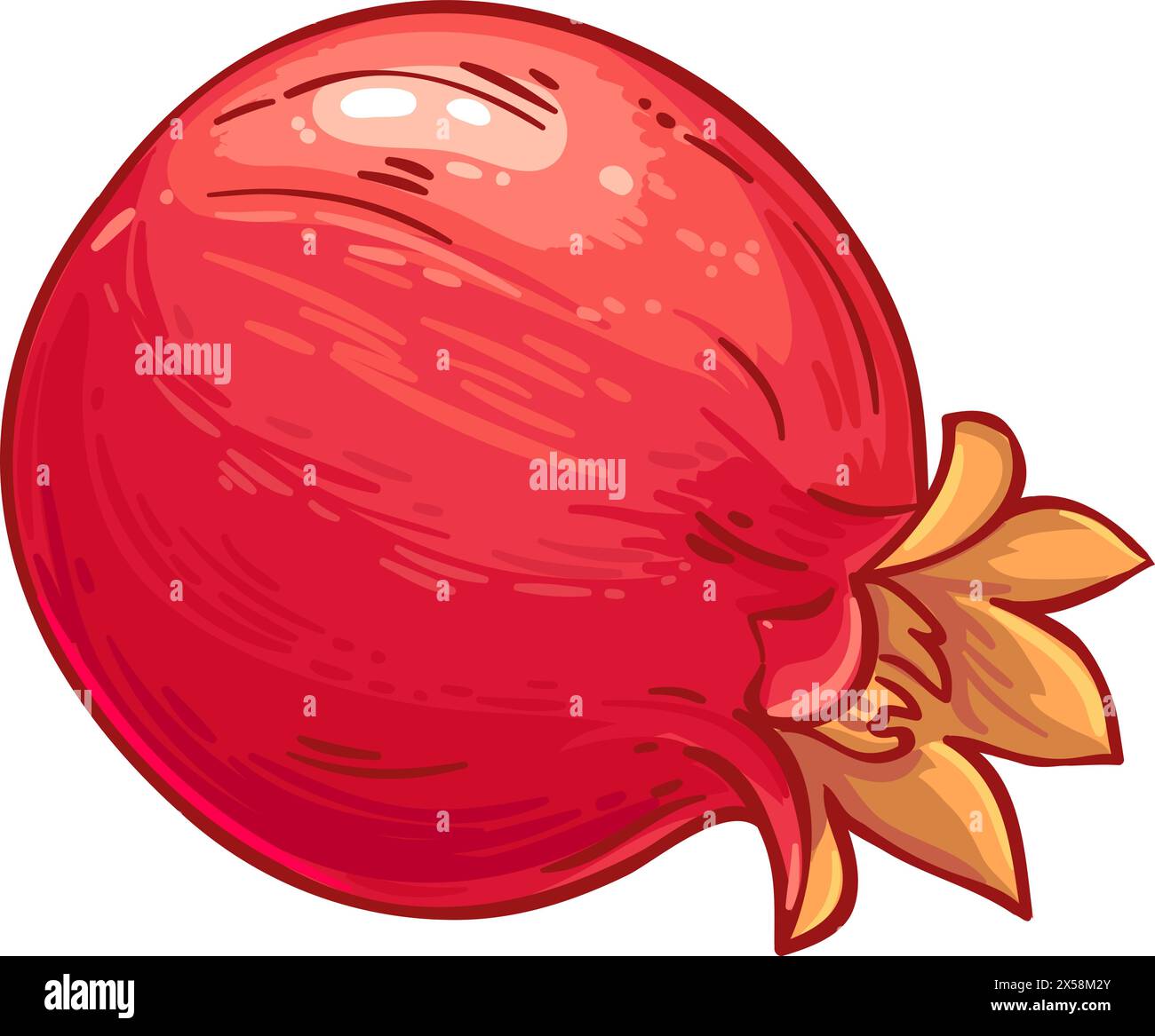 Granatapfelfrucht Farbige Detaillierte Illustration Stock Vektor