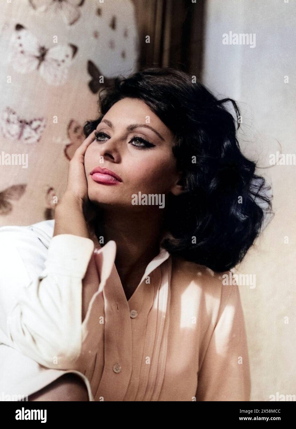 Portrait actress sophia loren -Fotos und -Bildmaterial in hoher ...