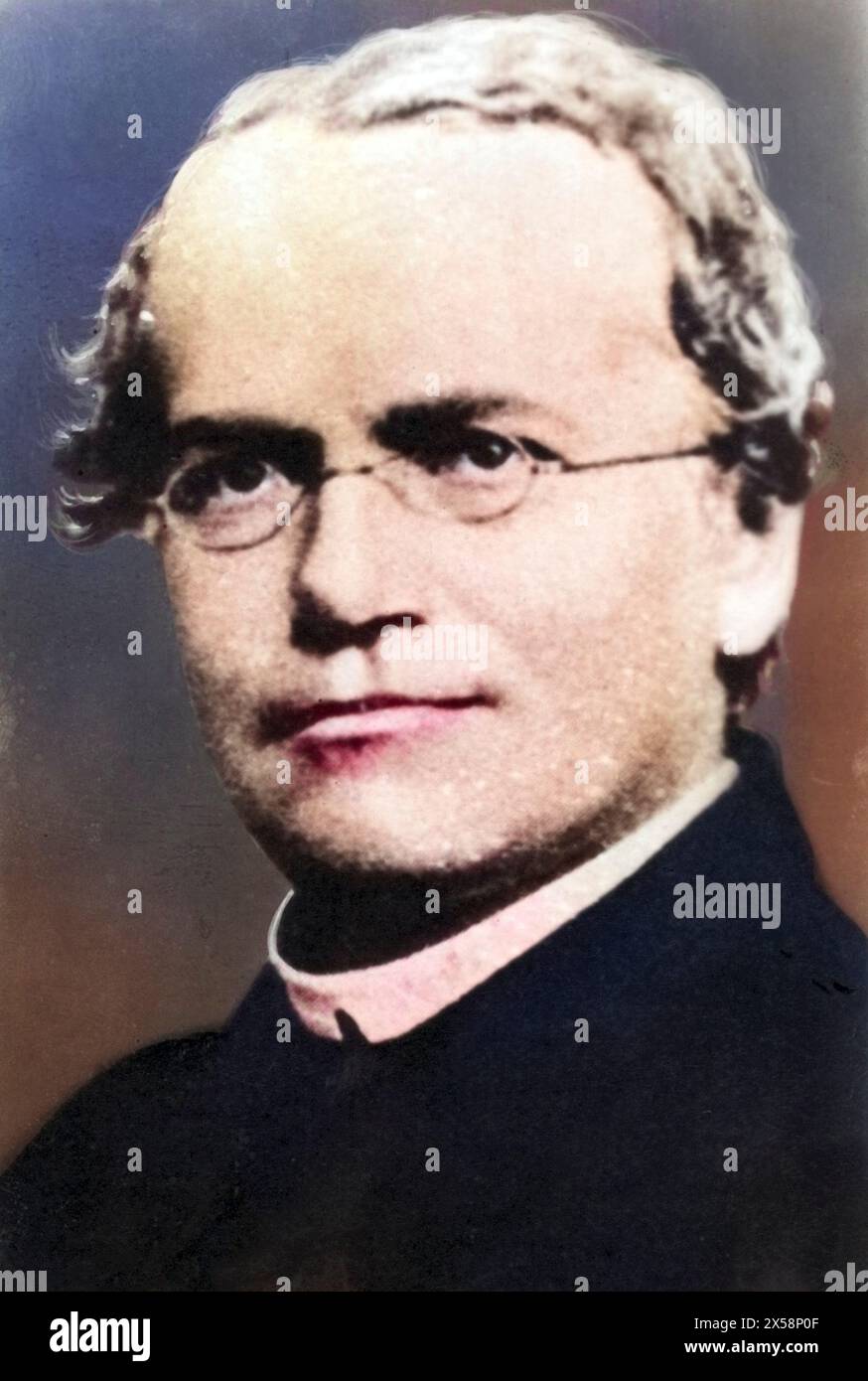 Mendel, Gregor Johann, 22.7.1822 - 6,1.1884, österreichischer Arzt/Arzt (Biologe), Porträt, ADDITIONAL-RIGHTS-CLEARANCE-INFO-NOT-AVAILABLE Stockfoto