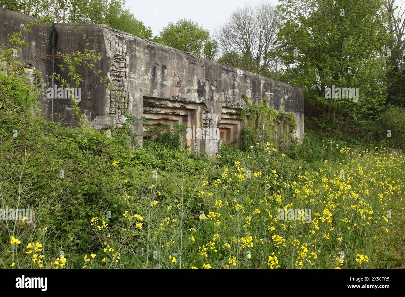 Verlassene Artilleriekasemate in der Verteidigungsanlage Fort Eben-Emael, heute ein Museum in Bassenge, Belgien. Stockfoto