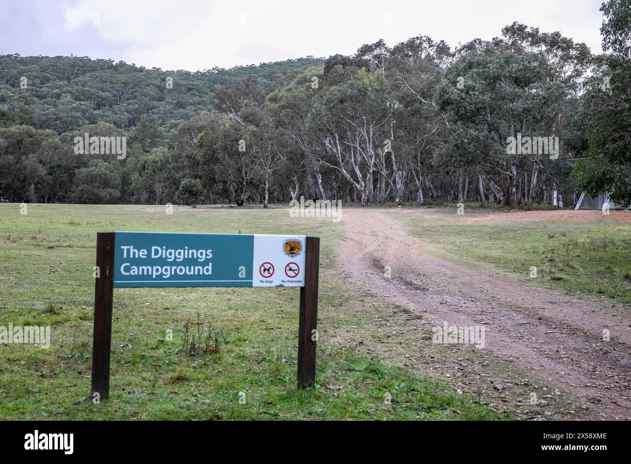 Turon National Park im regionalen New South Wales und der Grabplatz neben Eukalyptuswald in Australien Stockfoto