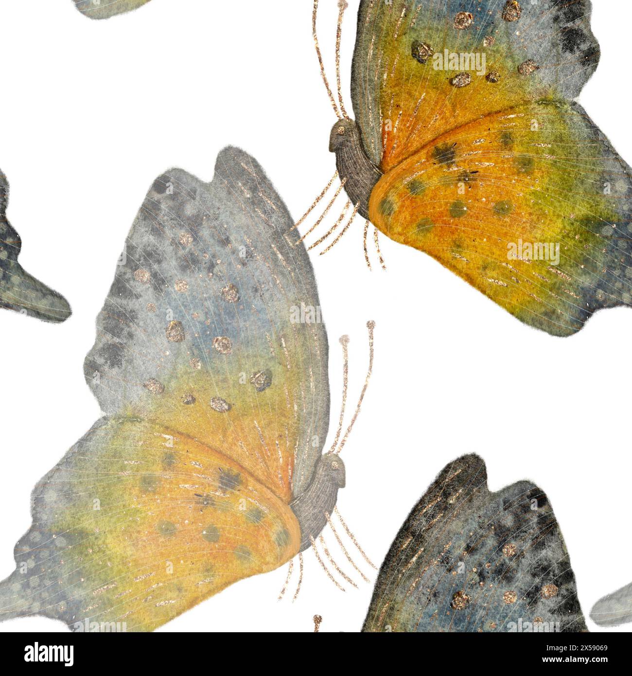 Bunte bunte Schmetterlinge in Aquarellen, nahtloses Muster mit durchscheinenden Elementen auf weißem Hintergrund. Stockfoto