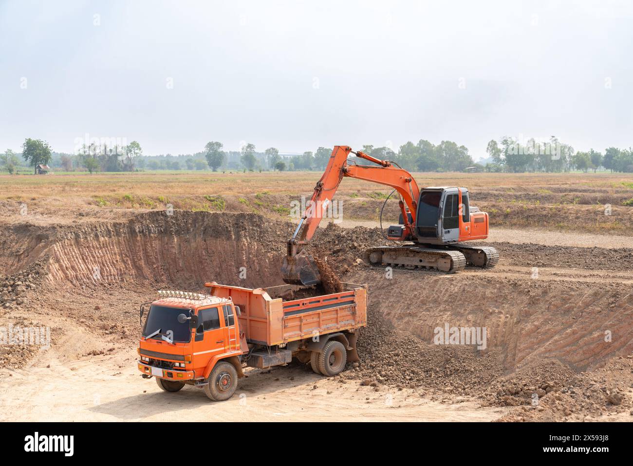 Ein Bagger lädt Boden auf den hinteren Teil eines Muldenkippers auf dem Feld. Stockfoto