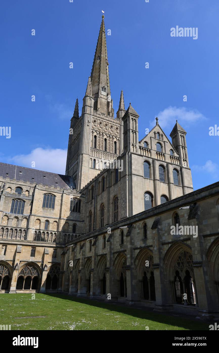 Das Kloster, die Spitze und der Turm der Kathedrale von Norwich, Norwich, Norfolk, England, Großbritannien Stockfoto