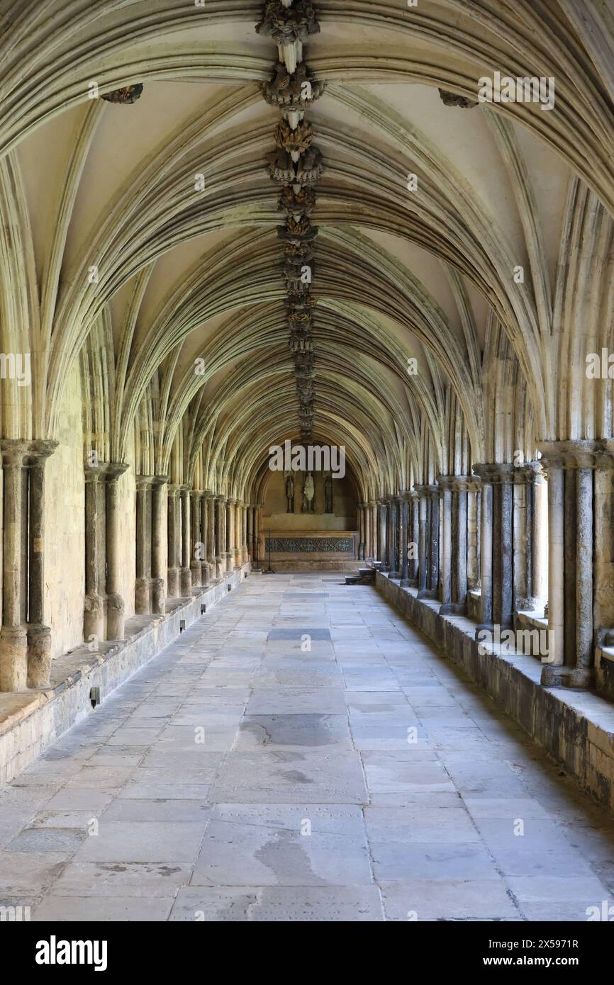 Das Kloster, die Kathedrale von Norwich, Norfolk, England, Großbritannien Stockfoto