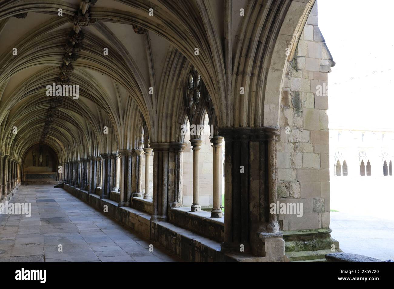 Das Kloster, die Kathedrale von Norwich, Norfolk, England, Großbritannien Stockfoto