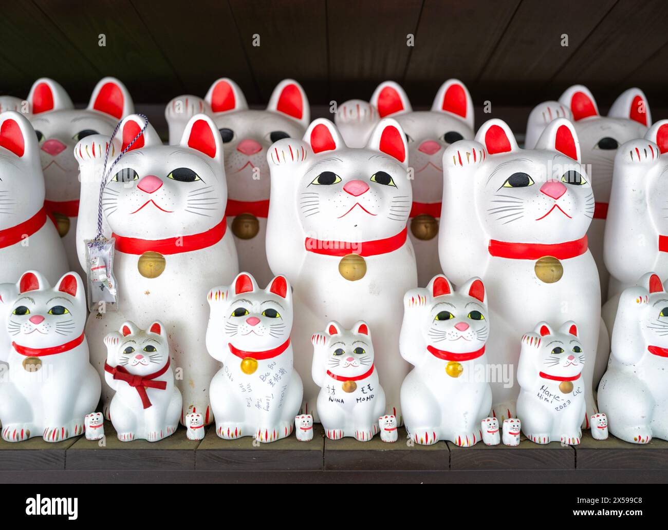 Maneki-neko-Statuen „verlockende Katze“ am berühmten Katzenschrein, Gotokuji-Tempel in Tokio, Japan Stockfoto