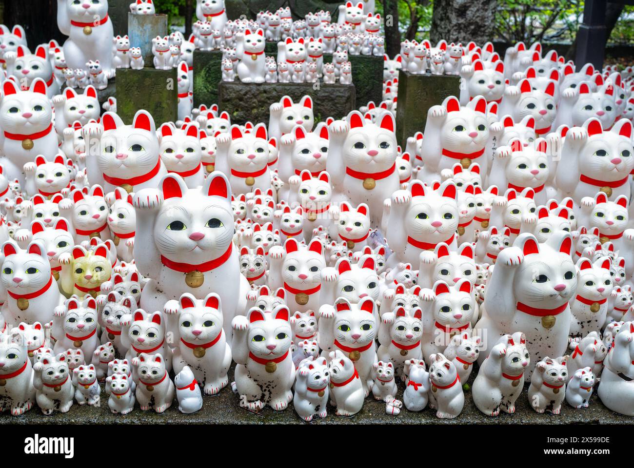 Maneki-neko-Statuen „verlockende Katze“ am berühmten Katzenschrein, dem Gotokuji-Tempel in Tokio Stockfoto