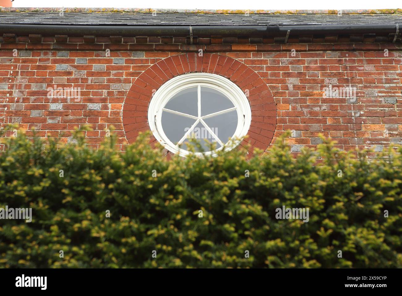 Rundes, kreisförmiges Fenster in einer Ziegelwand über einer Hecke Stockfoto