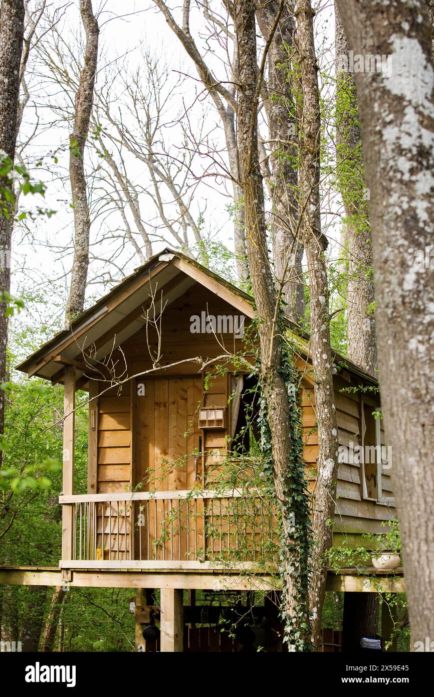 Ein hölzernes Baumhaus in den alten Wäldern von Kent, das als Glamping-Unterkunft auf Airbnb by Wyld Experiences verfügbar ist Stockfoto