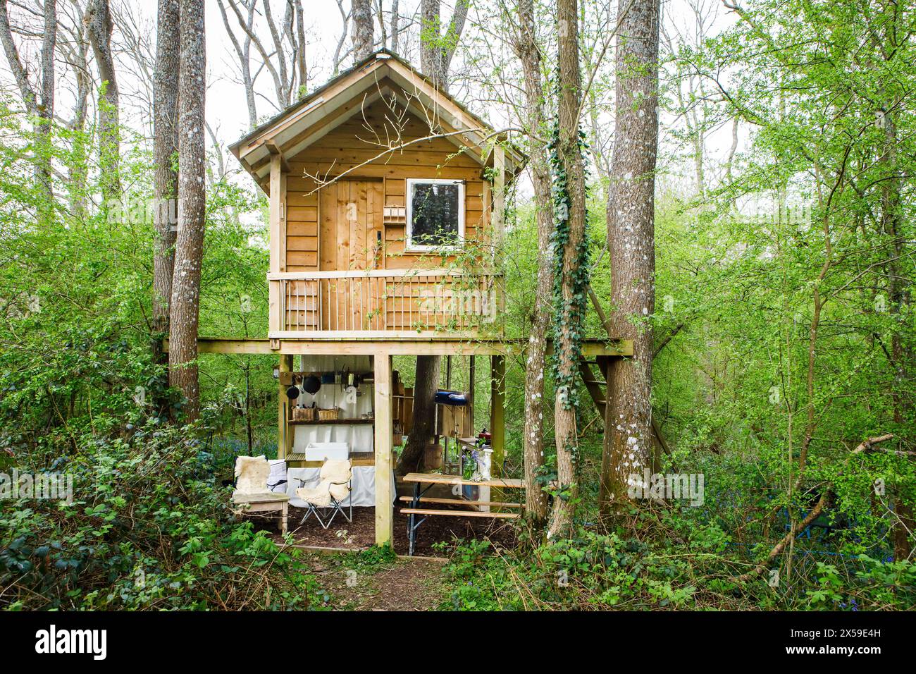 Ein hölzernes Baumhaus in den alten Wäldern von Kent, das als Glamping-Unterkunft auf Airbnb by Wyld Experiences verfügbar ist Stockfoto