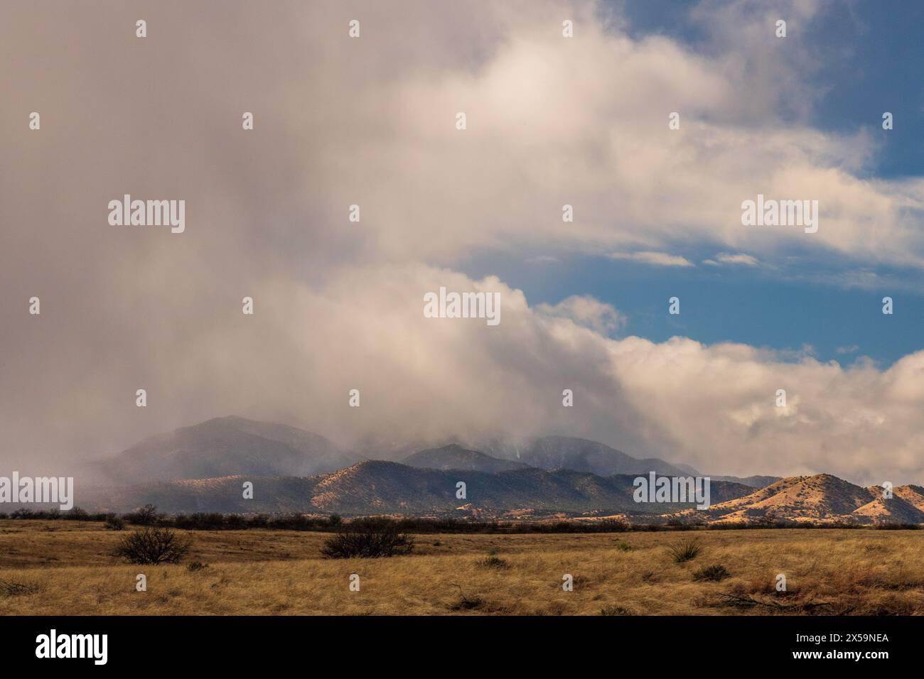 Im Januar zieht eine Winterfront in die Santa Rita Mountains, im Coronado National Forest, nördlich von Sonoita, Arizona, USA. (FOTO: Norma Stockfoto