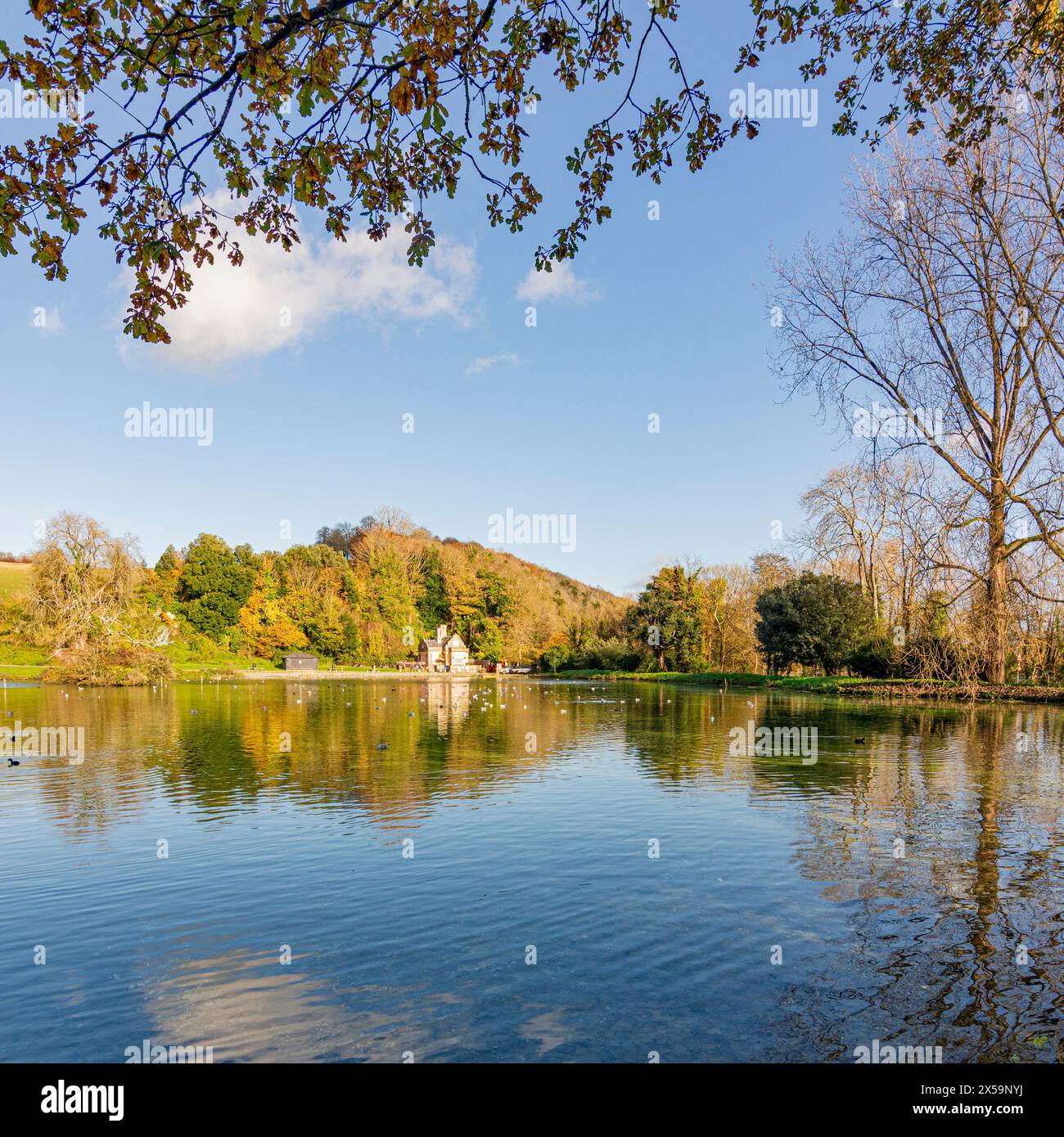 Swanbourne Lake mit Swanbourne Lodge Teestube - Arundel, West Sussex, Großbritannien. Stockfoto