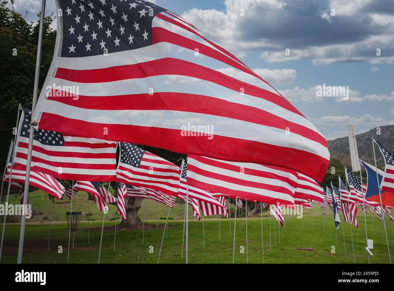 Amerikanische Flaggen werden in Open Field, California Coast Inspirations angezeigt Stockfoto