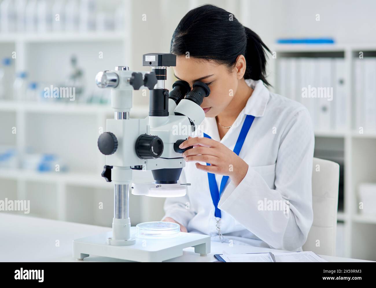 Arzt, Mikroskop und Pharmazie für Medizin oder Forschung, Experiment und Virusanalyse im Labor für Gesundheit. Frau, DNA und Untersuchung Stockfoto