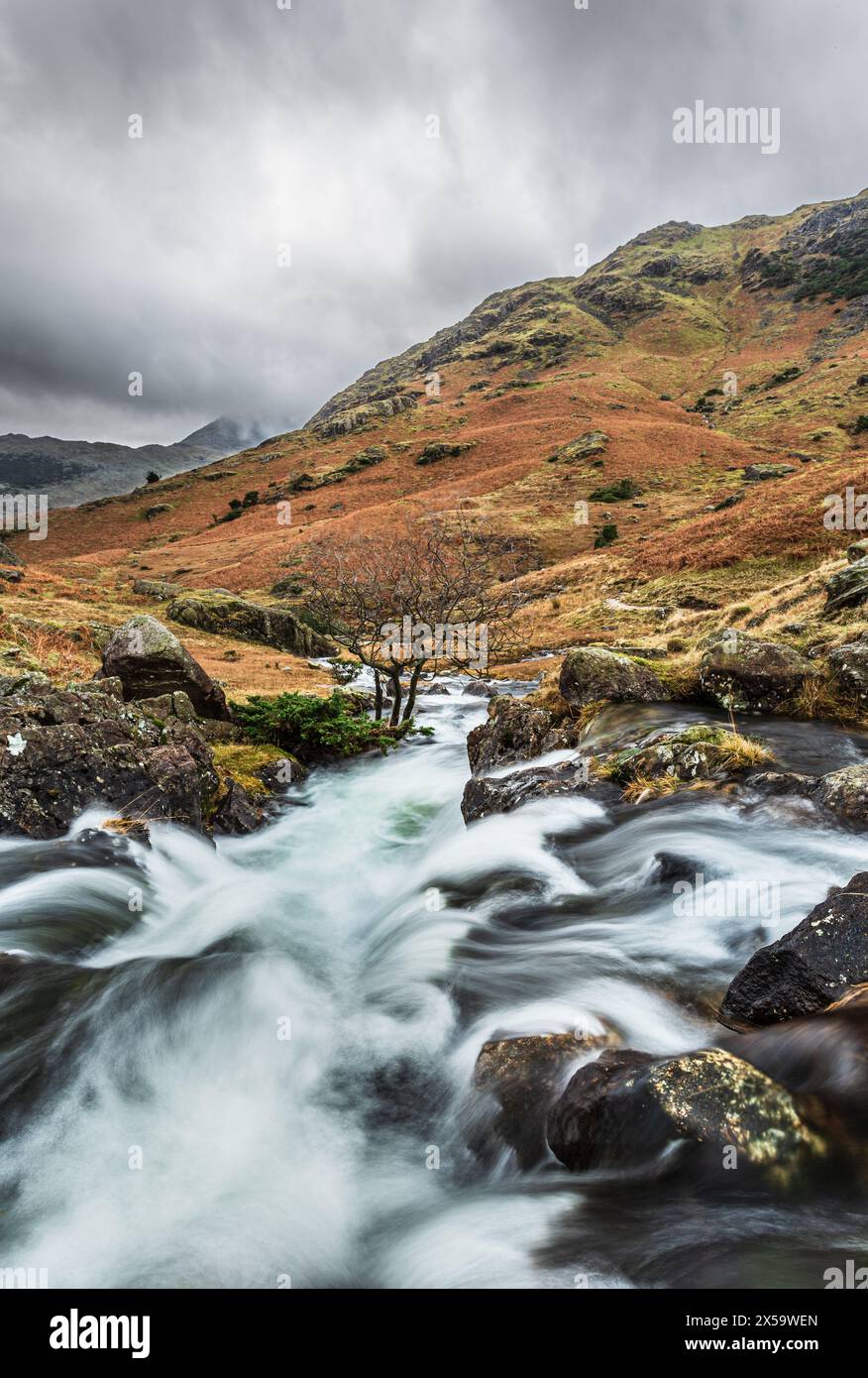 Bleamoss Beck, unterhalb von Blea Tarn, Lake District, Cumbria, England. Stockfoto