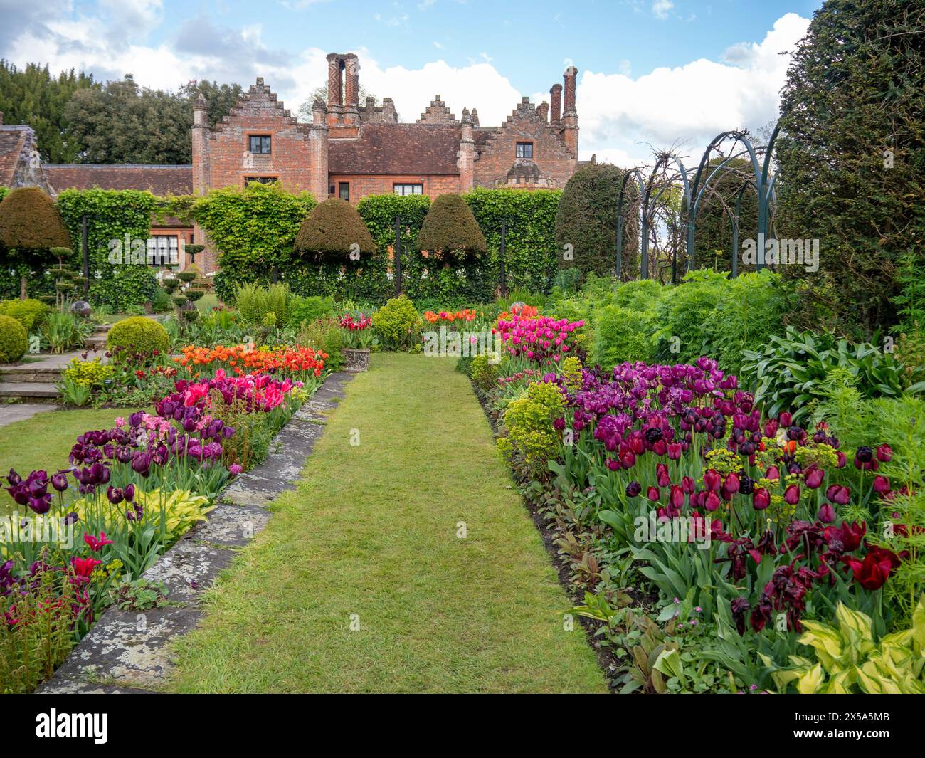 Chenies Manor House und Gärten auf dem Höhepunkt der Tulpensaison. Blauer Himmel und Wolken über dem Herrenhaus Tudor mit Blick auf den gepflegten versunkenen Garten. Stockfoto