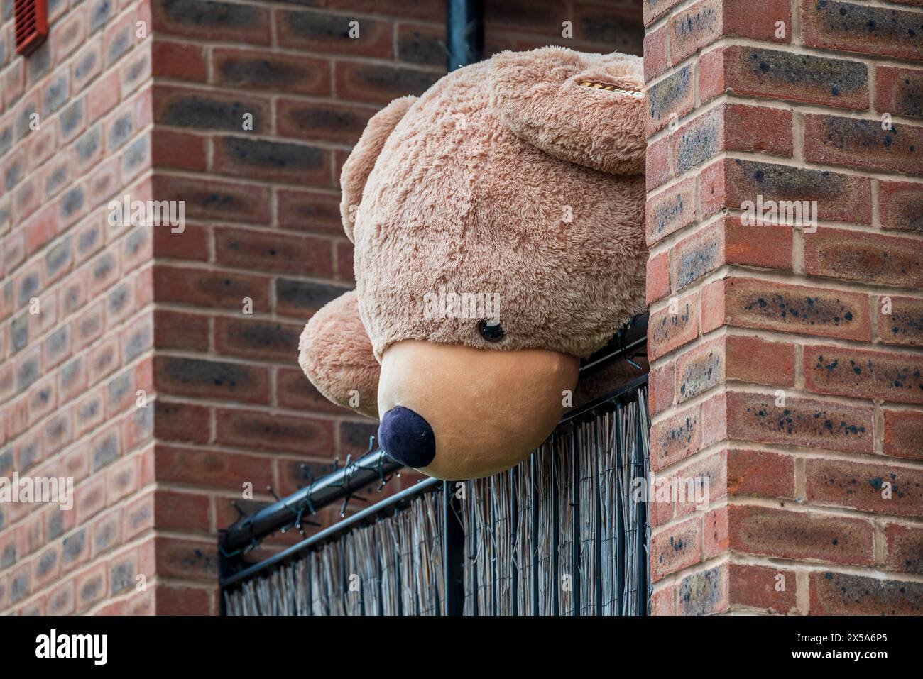 Der riesige Teddybär sucht nach allen Welten, als ob er von diesem Balkon oben fliehen will. Stockfoto