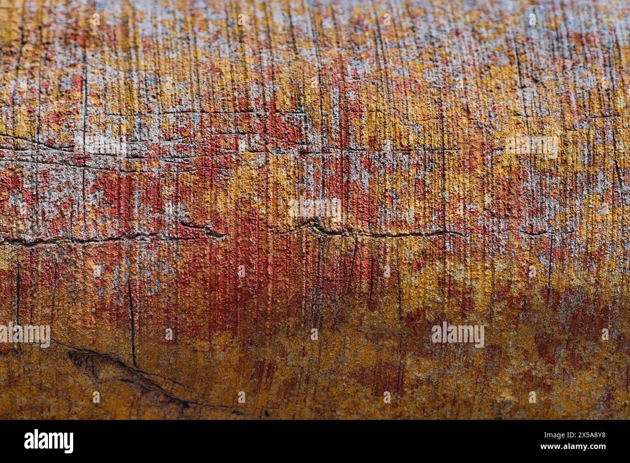 Nahaufnahme eines Holzstamms mit gerissenen und abblätternden Schichten roter und gelber Farbe, die Textur und Verfall zeigen. Stockfoto