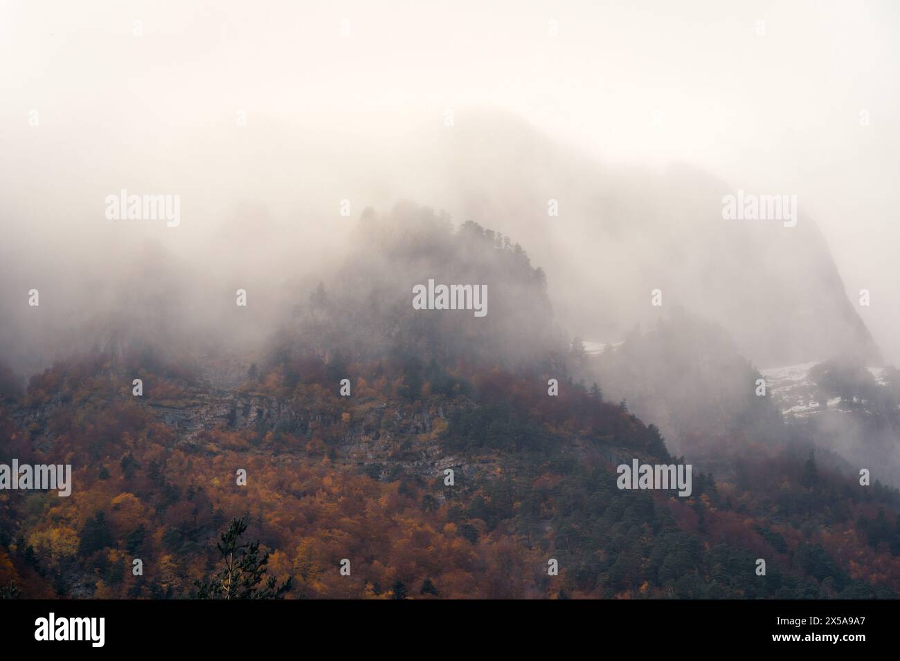 Ätherischer Nebel bedeckt das lebhafte Herbstlaub in Selva de Oza, das sich in den westlichen Tälern der Pyrenäen, Aragón, Huesca befindet Stockfoto