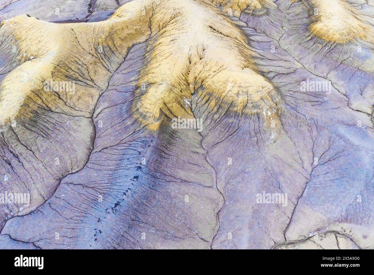 Ein atemberaubender Schnappschuss der komplexen, farbenfrohen Muster des Wüstengebietes in Utah, der die natürliche Schönheit und Vielfalt der region zeigt Stockfoto