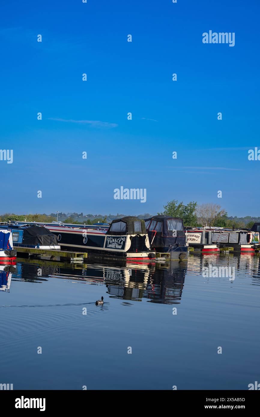 Dunchurch Pools Marina, Warwickshire, Oxford Canal – Schmalboote am Sommermorgen in ruhiger Umgebung vor einem klaren blauen Himmel Stockfoto