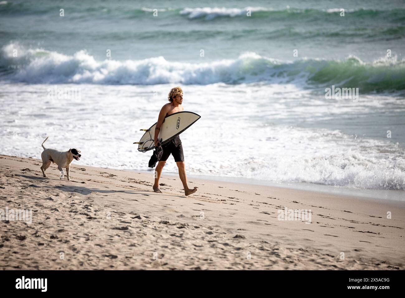 Surfer und ein Hund spazieren am spektakulären Sandstrand Playa Santa Teresa während der weihnachtsferien auf der Nicoya Halbinsel, Costa rica Stockfoto