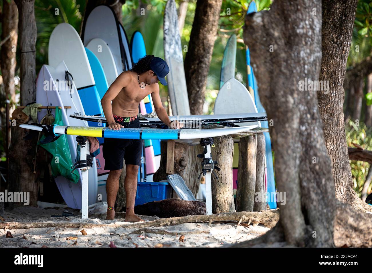 Mann bereitet Surfbrett für Miete am Sandstrand Playa Santa Teresa während der weihnachtsferien auf der Nicoya Halbinsel, Costa rica vor Stockfoto