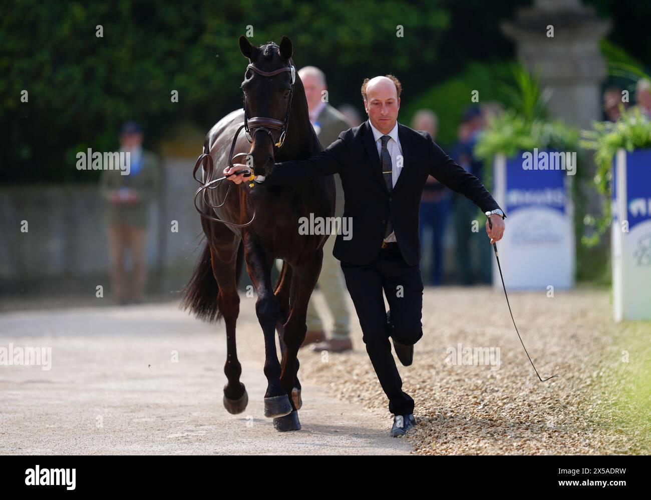 Vitali und Tim Price bei der ersten Pferdeinspektion am ersten Tag der Badminton Horse Trials 2024 auf dem Badminton Estate, Gloucestershire. Bilddatum: Mittwoch, 8. Mai 2024. Stockfoto
