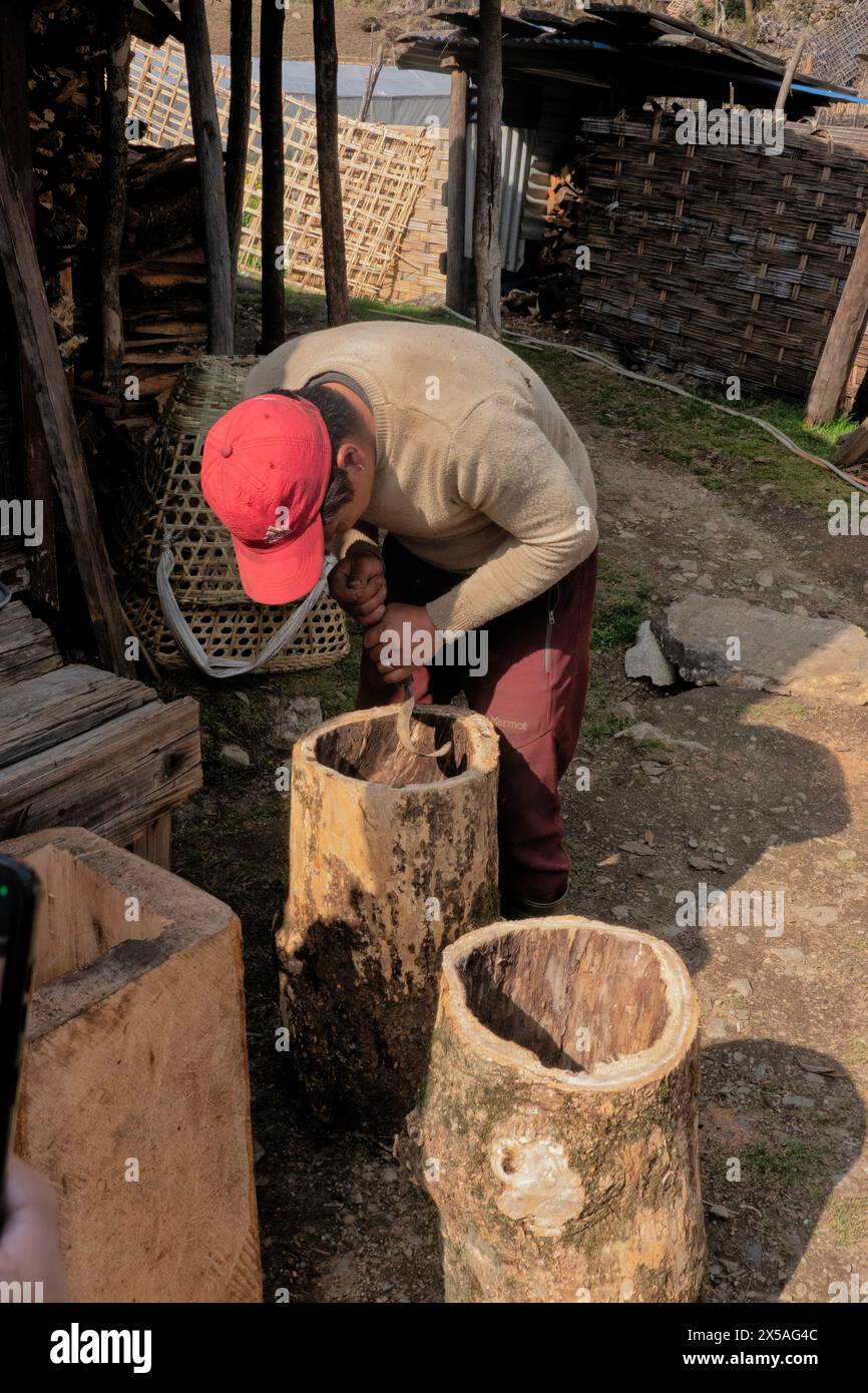 Einen Stamm aushöhlen, um Bienen zu halten, Ghunsa, Nepal Stockfoto