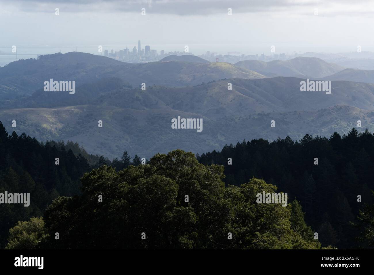Fernsicht auf die Skyline von San Francisco, durch Nebel und Dunst von einem grünen, im Frühling gelegenen Berg in den Marin Headlands im Norden von Cali Stockfoto