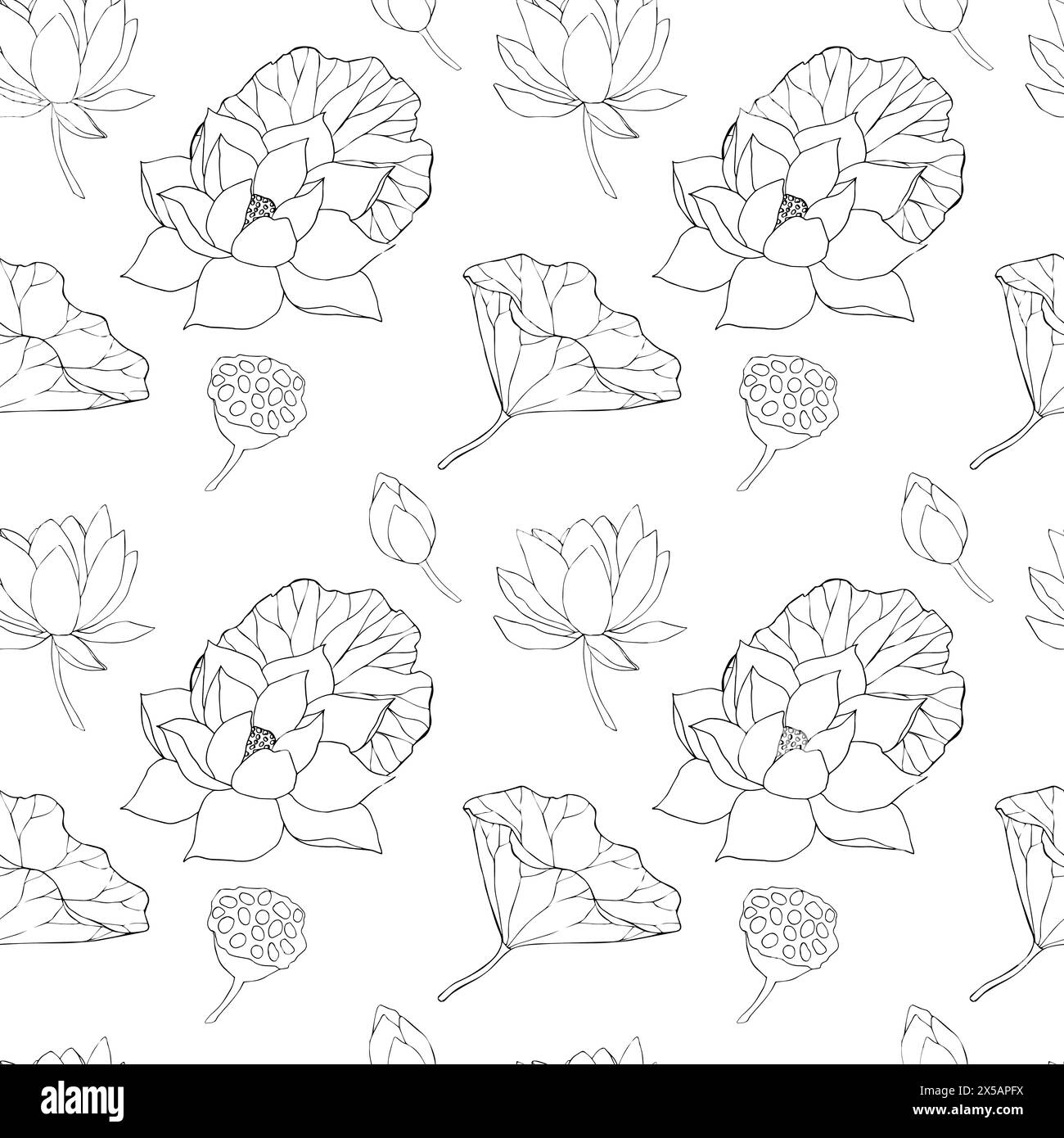 Nahtloses Muster mit Lotusblüten, Blättern und Knospen schwarz. Abbildung der Vektorlinie. Umrisszeichnung mit Blumenmuster für Logo, Tätowierung und Verpackungsdesign Stock Vektor