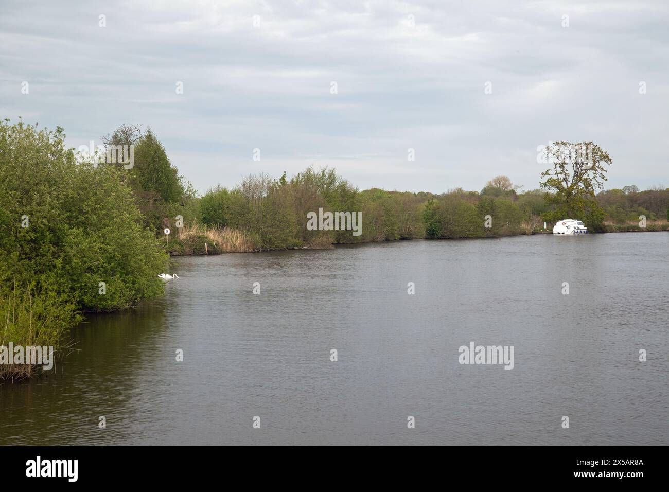 Wroxham, Norfolk, England, April 2024, Landschaftsbild eines Bootes auf den Norfolk Broads. Stockfoto