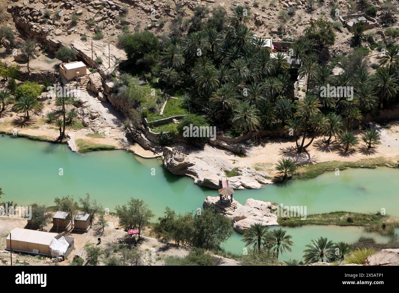 Wadi Bani Khalid Muqil Pools im östlichen Hajar Gebirge Oman Wasser fließt aus Natural Springs durch das ganze Jahr Stockfoto