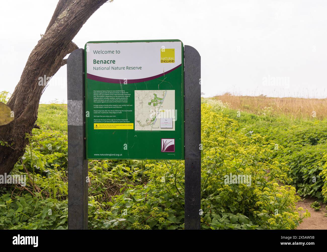 Ein Schild heißt Besucher im Benacre National Nature Reserve willkommen. Covehithe, Benacre, Suffolk. UK. Stockfoto