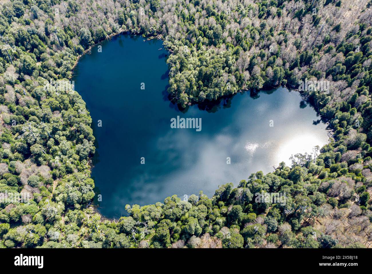 Herzförmiger See Laguna Corazon, in der Nähe von Liquine, aus der Vogelperspektive, Chile Stockfoto