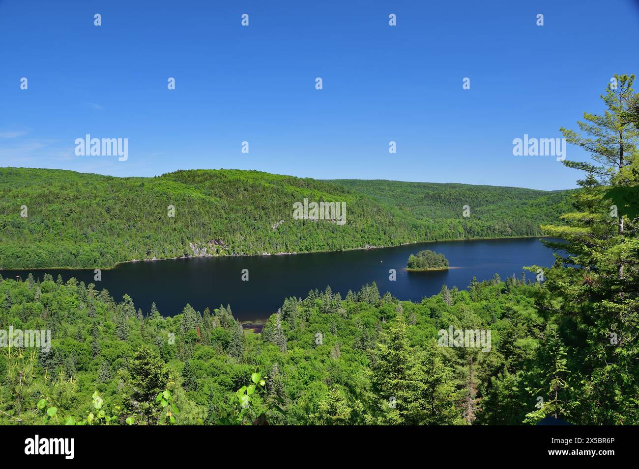 La Mauricie Nationalpark Wapizagonke Lake Pine Island. Kleine runde Insel mitten in einem See. Sonniger Sommertag Stockfoto