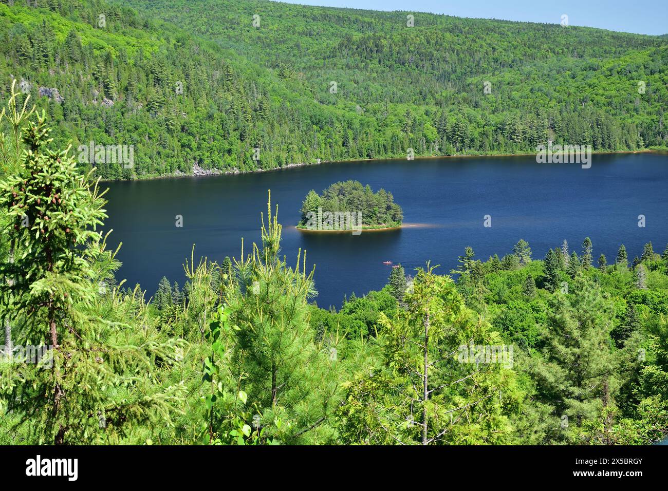 La Mauricie Nationalpark Wapizagonke Lake Pine Island. Kleine runde Insel mitten in einem See. Sonniger Sommertag Stockfoto