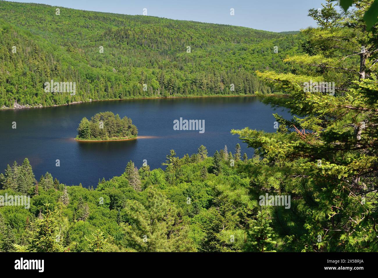 La Mauricie Nationalpark Wapizagonke Lake Pine Island. Kleine runde Insel mitten in einem See. Sonniger Sommertag Stockfoto