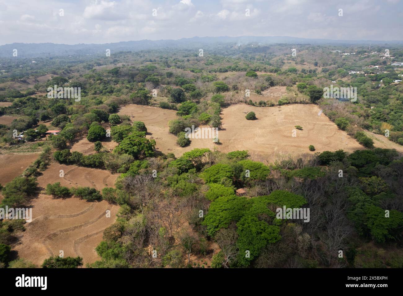 Landschaftlich bewirtschaftete Bauernhöfe aus der Vogelperspektive in mittelamerika Stockfoto